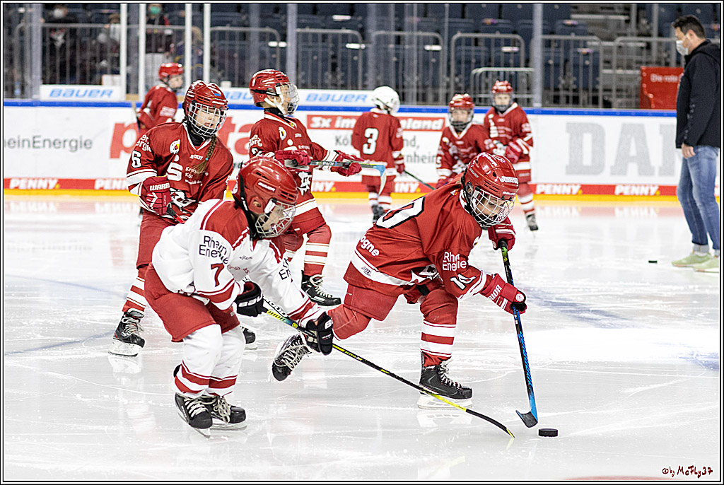 PENNY DEL;  Koelner Haie - Junghaie U9; Koeln, 18.03.2022